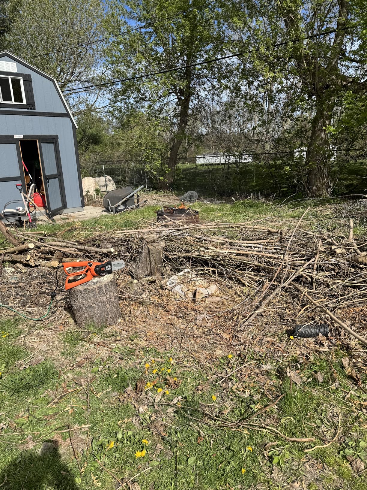 BLACK+DECKER Lopper Chain Saw, 4.5-Amp Pruner, Loppers for Tree Trimming Heavy Duty (LP1000) - Customer Photo 1