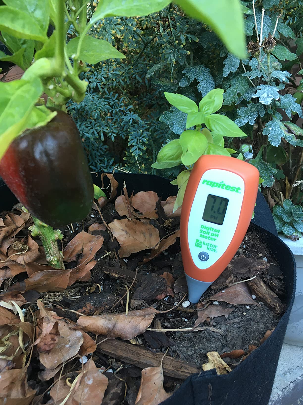 Luster Leaf Digital Moisture Meter - Customer Photo 1