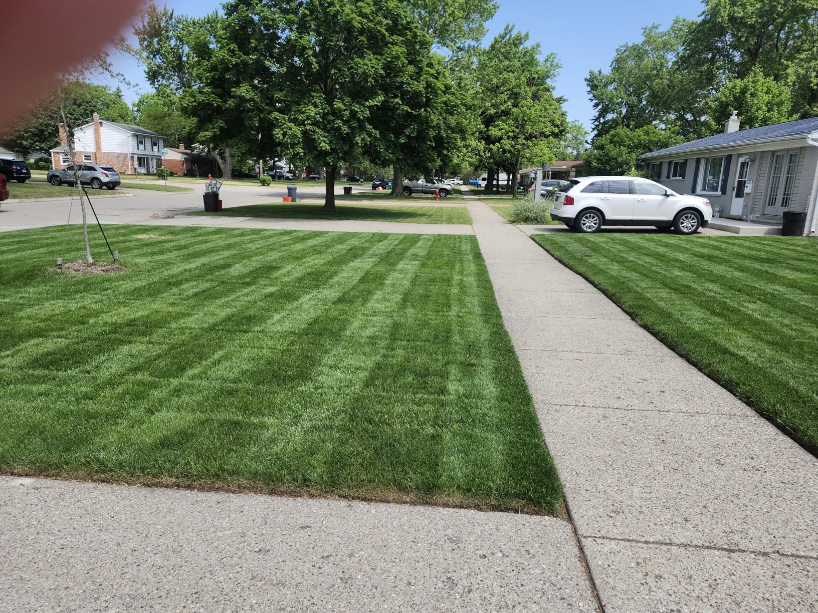 Toro Lawn Striping System - Customer Photo 2