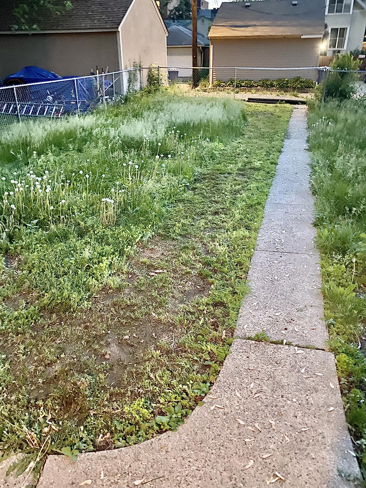 Greenworks 40V 20