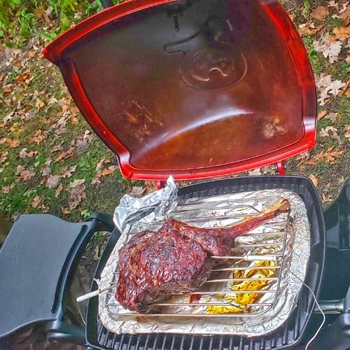 Weber Q1200 Liquid Propane Portable Gas Grill for Travel and Camping, 1 Burner, Black - Customer Photo 1