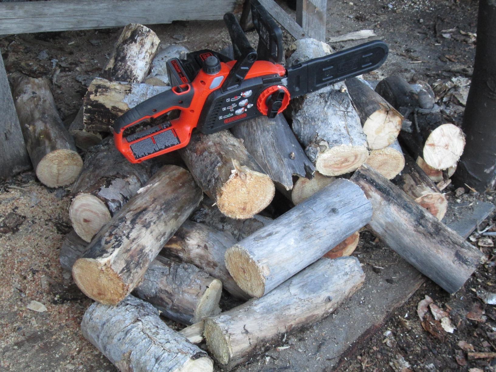 BLACK+DECKER 20V MAX Chain Saw Cordless Chainsaw, 10-Inch Battery Chainsaw, Tool Only, for Wood Cutting and Tree Pruning, Includes Guide Bar Scabbard (LCS1020B) - Customer Photo 1
