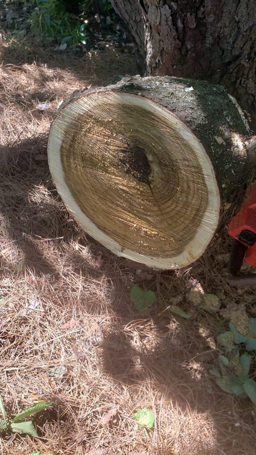 Milwaukee - M18 FUEL 16