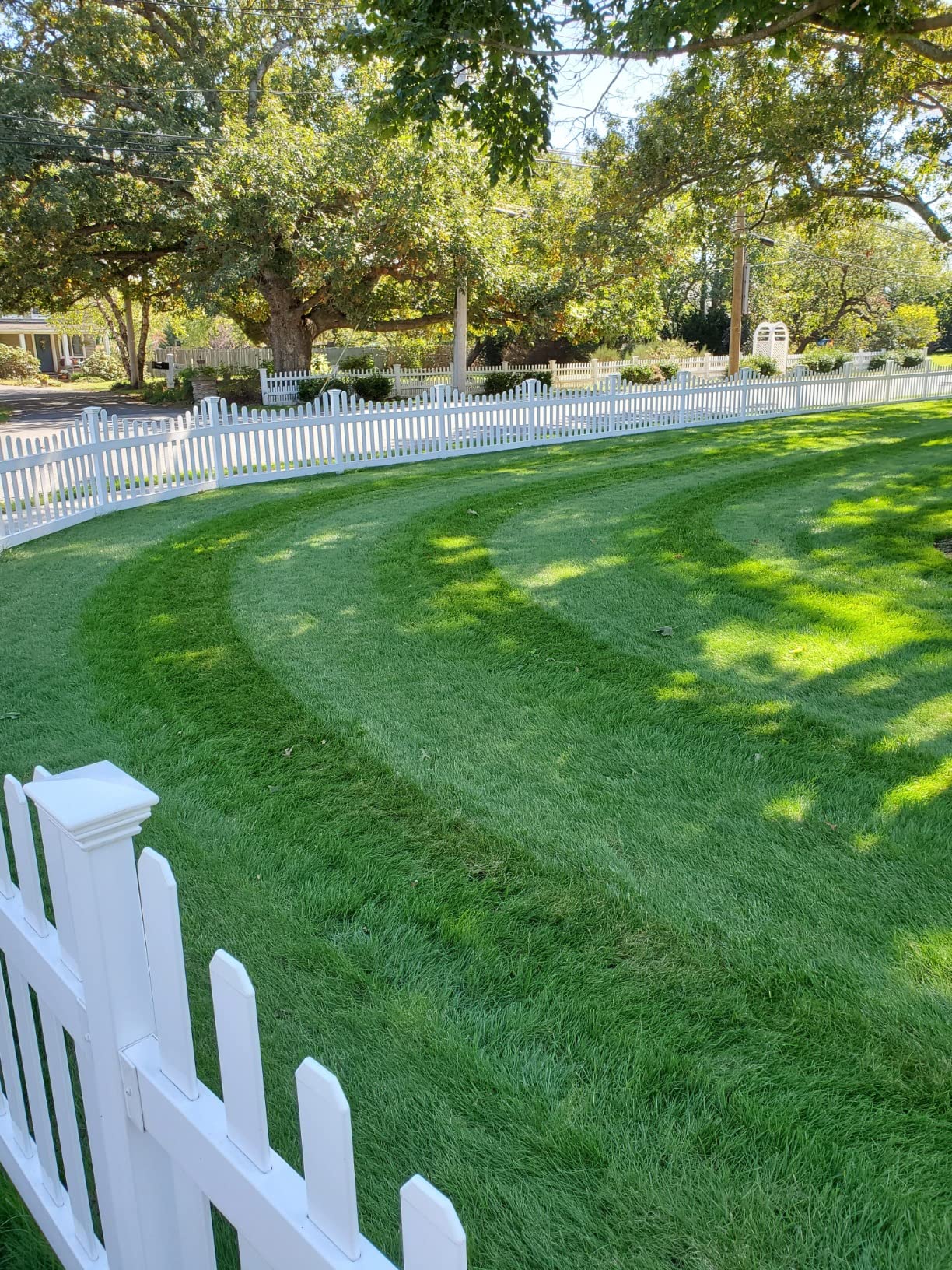 John Deere Tractor Grass Groomer Lawn Striping Kit - LP1001 - Customer Photo 1