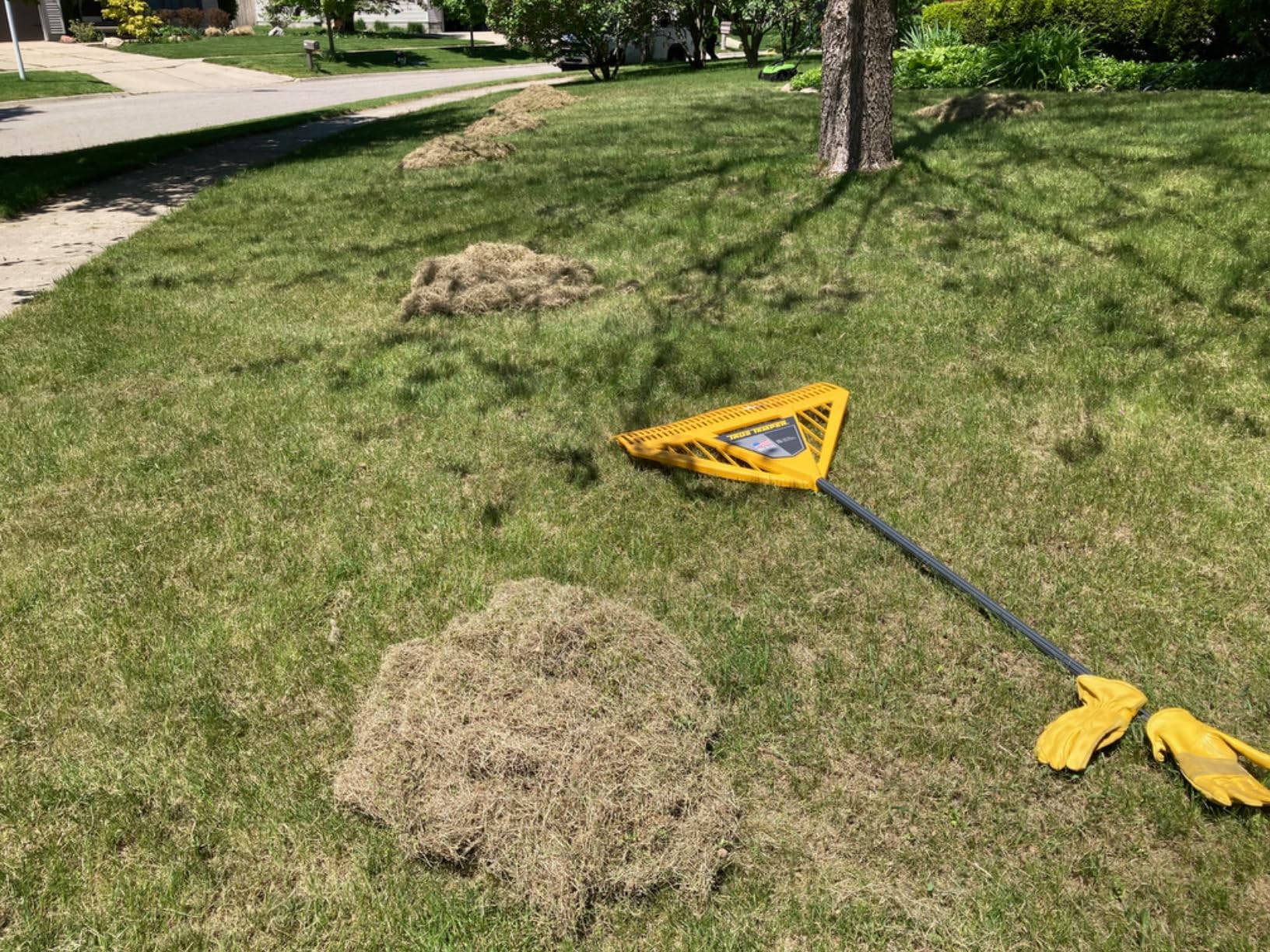 Greenworks 13 Amp 14-Inch Corded Dethatcher / Scarifier, DT13B00 - Customer Photo 4