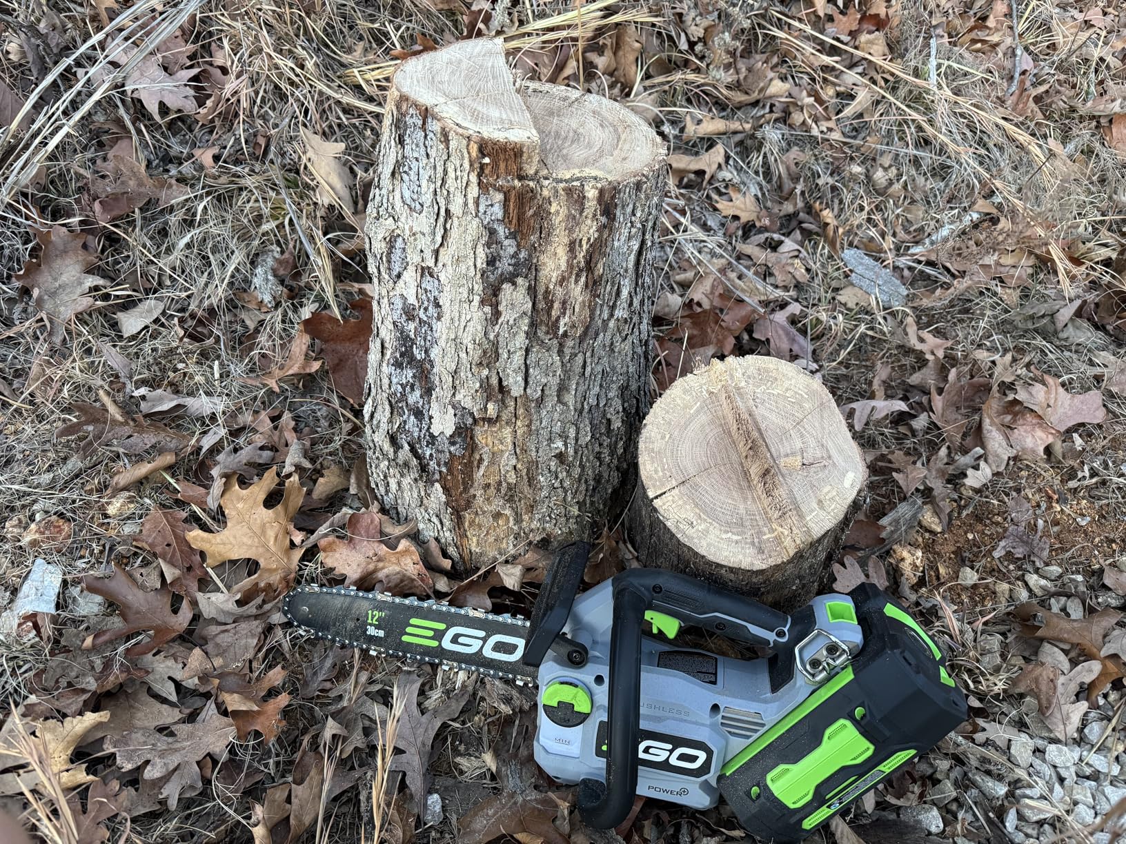 EGO POWER+ Chain Saw, 16â Battery Powered Chainsaw, Electric Cordless, Includes 56V 2.5Ah Battery and Charger â CS1611 - Customer Photo 1