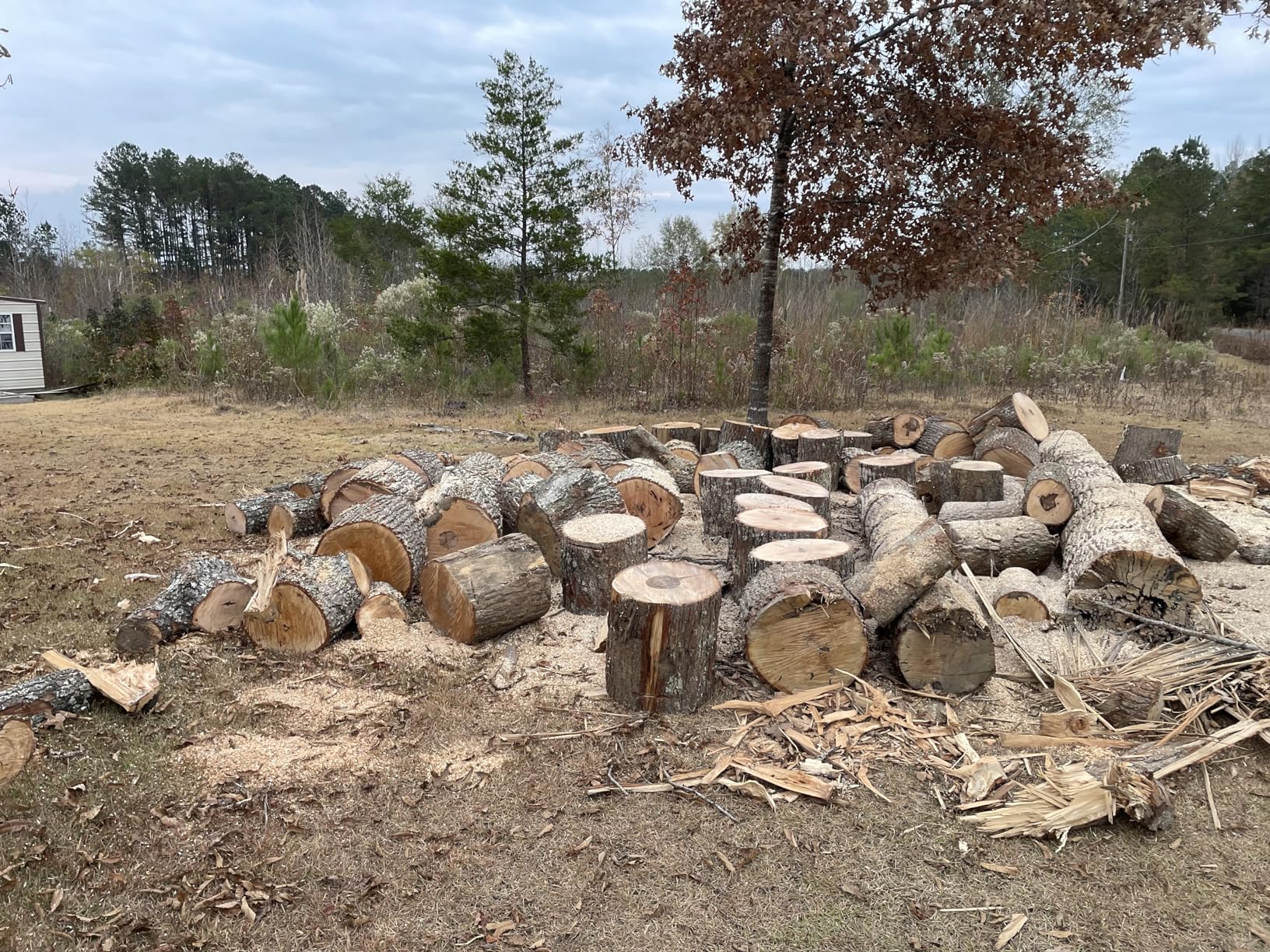 Husqvarna 450 Rancher 20 Inch Gas Chainsaw, 50.2-cc 3.2-HP, 2-Cycle X-Torq Engine, For Tree Pruning, Yard Cleanups and Firewood Cutting, 970613120 - Customer Photo 1