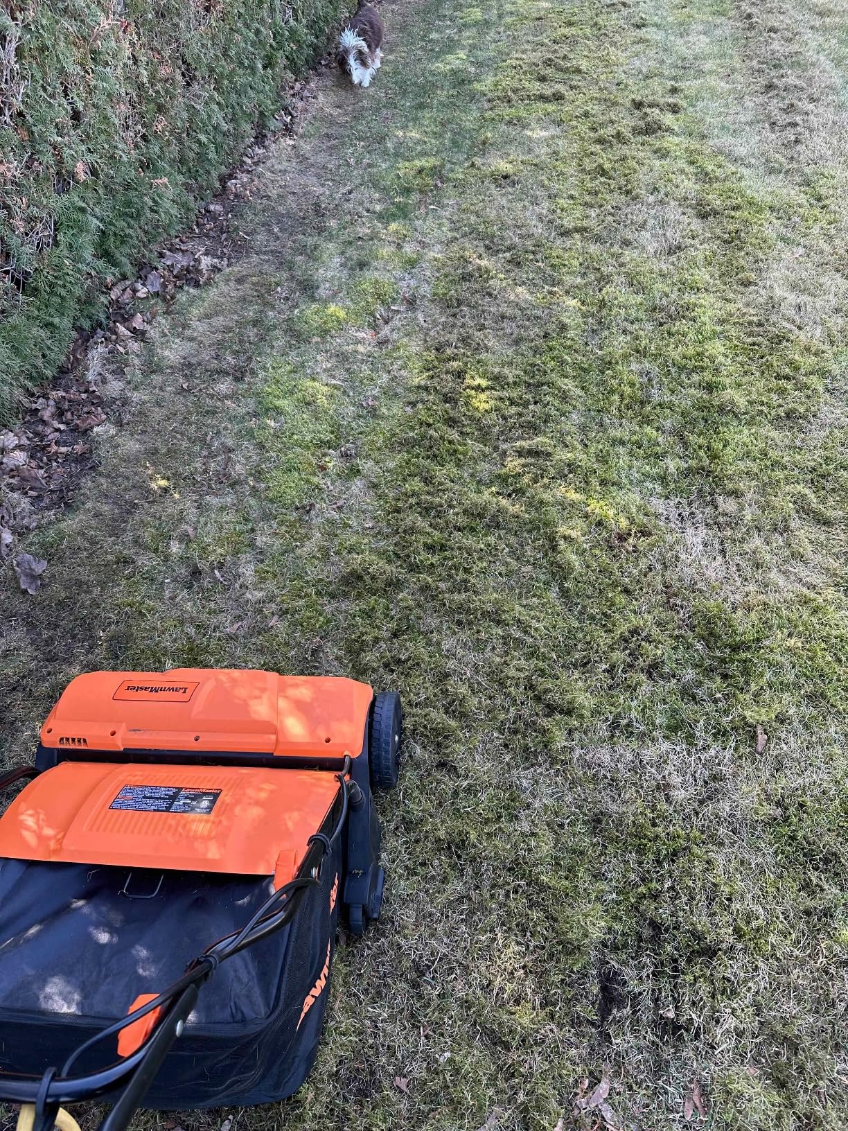 LawnMaster GVB1316 Electric 16â 13 Amp Dethatcher and Scarifier with 12 Gallon Collection Bag - Customer Photo 2