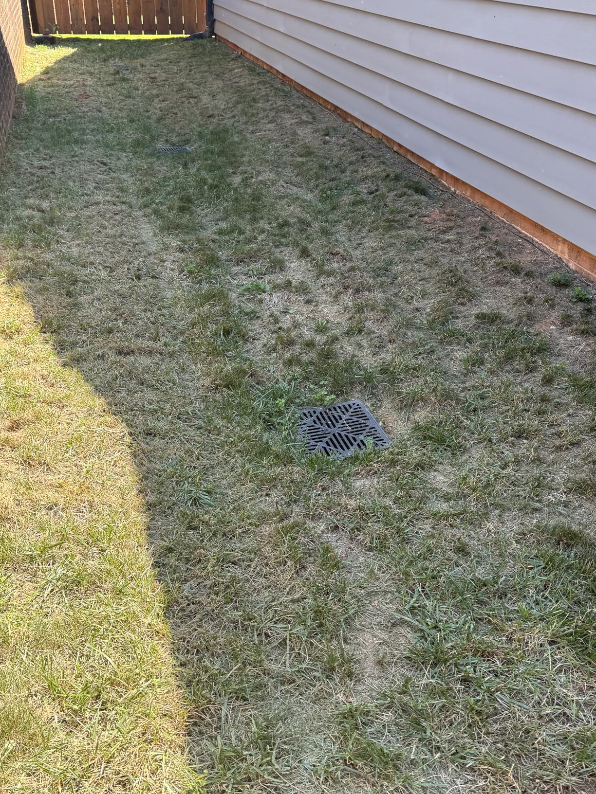 LawnMaster GVB1316 Electric 16â 13 Amp Dethatcher and Scarifier with 12 Gallon Collection Bag - Customer Photo 3