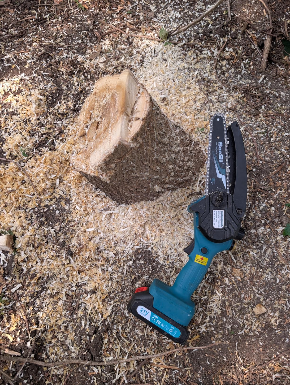 SEESII 2-in-1 Electric Pole Saws for Tree Trimming, 6 Inch Mini Chainsaw Cordless with Extension Pole, Battery Powered Pole Chain Saw, Tree Trimmer Limb Branch Cutter Pruner with 2 Battery PS600 - Customer Photo 2