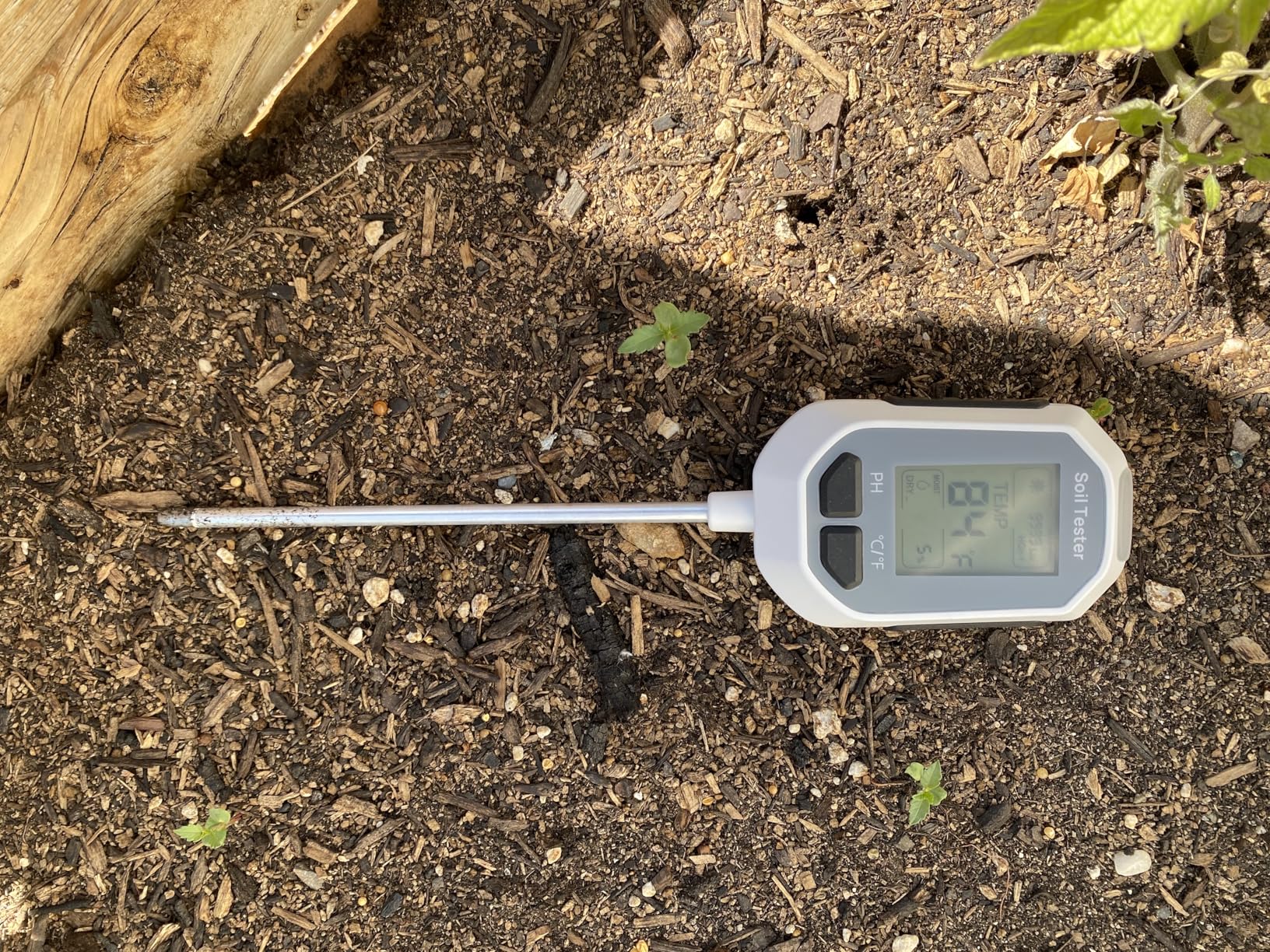 YAMRON 4-in-1 Soil Moisture Meter, Digital Plant Temperature/Soil Moisture Test & PH Meter/Sunlight Intensity, Backlight LCD Display for Gardening, Farming and Outdoor Plants - Customer Photo 1
